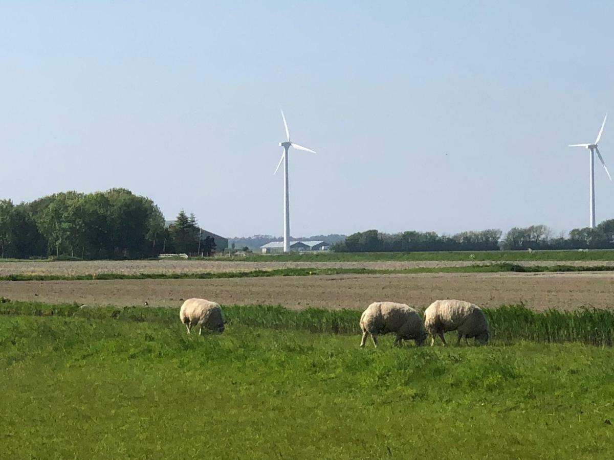 Vogelvrij Villa Burgerbrug Luaran gambar